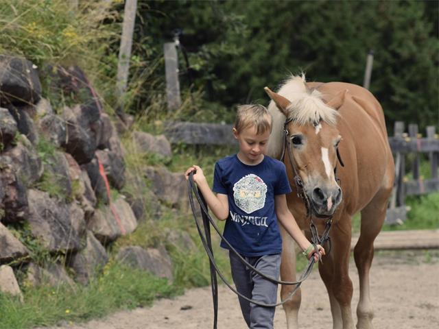 Foto für Kids Active - Hufeisen: das Glück der Pferde